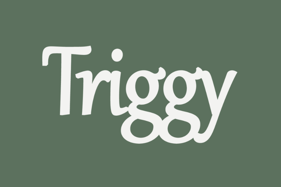 Triggy logo